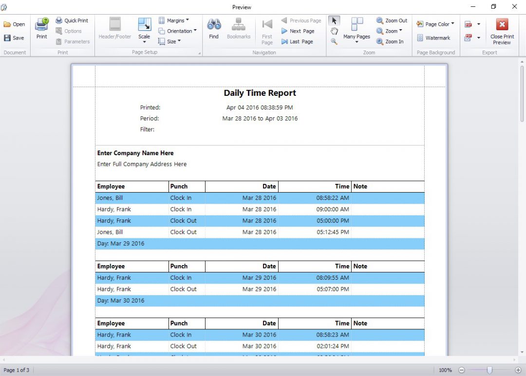 Daily Time Report - Time Clock MTS