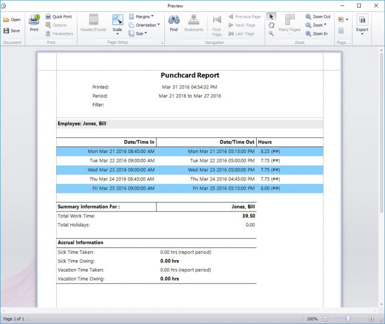 Employee Time Card Software - Time Clock MTS